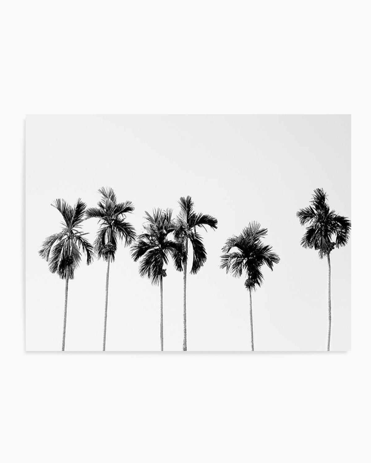 Six Palms Art Print