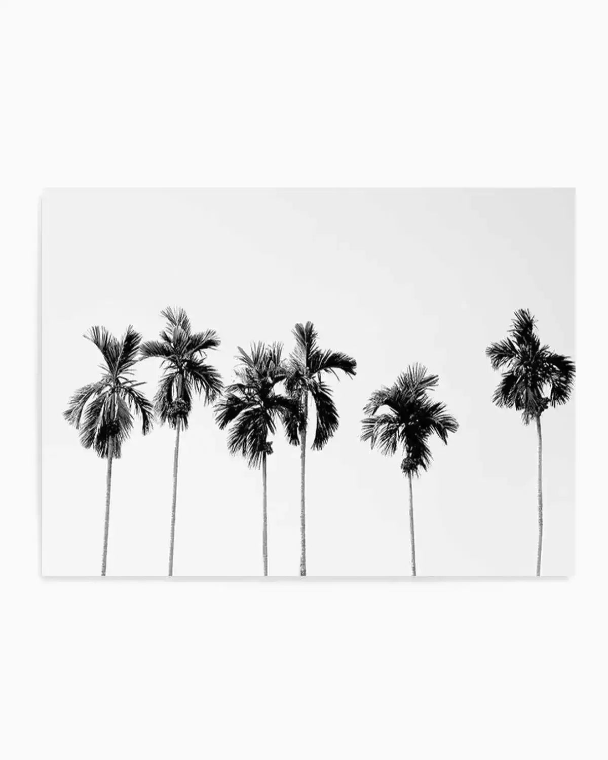 Six Palms Art Print from Olive et Oriel where you can shop wallpaper and artworks online