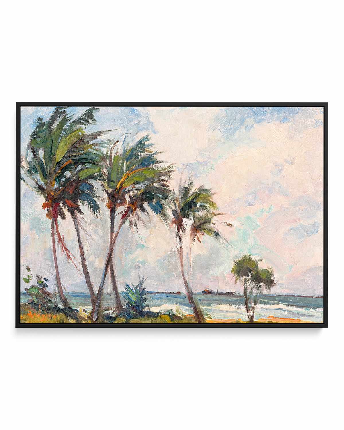 Six Palms by Richard A. Rodgers | Framed Canvas Art Print