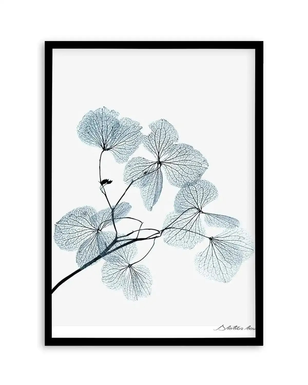 Skeleton Leaves Art Print from Olive et Oriel where you can shop wallpaper and artworks online