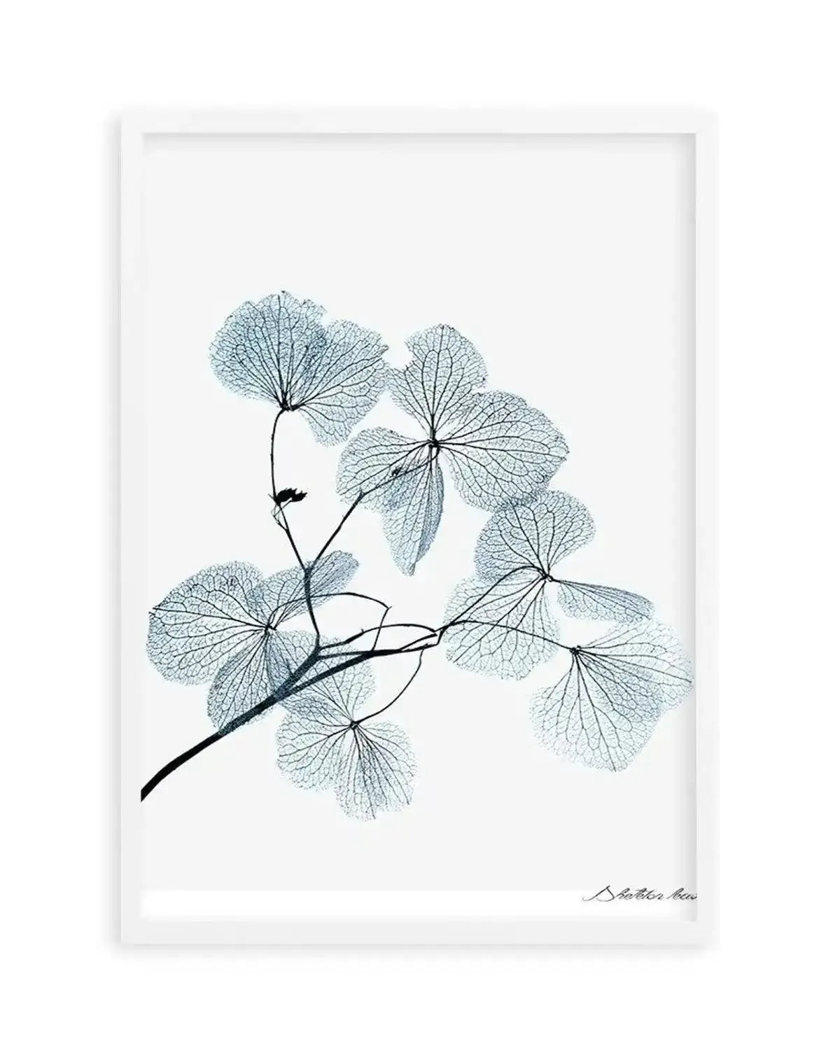 Skeleton Leaves Art Print from Olive et Oriel where you can shop wallpaper and artworks online