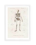 Skeleton Vintage Illustration Art Print