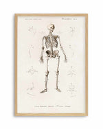 Skeleton Vintage Illustration Art Print