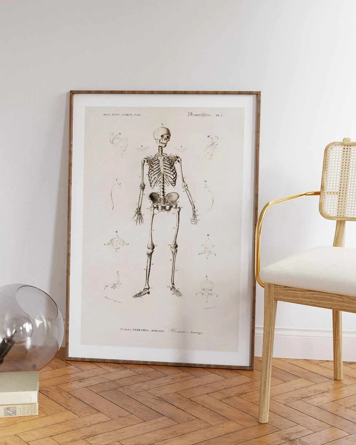 Skeleton Vintage Illustration Art Print from Olive et Oriel where you can shop wallpaper and artworks online