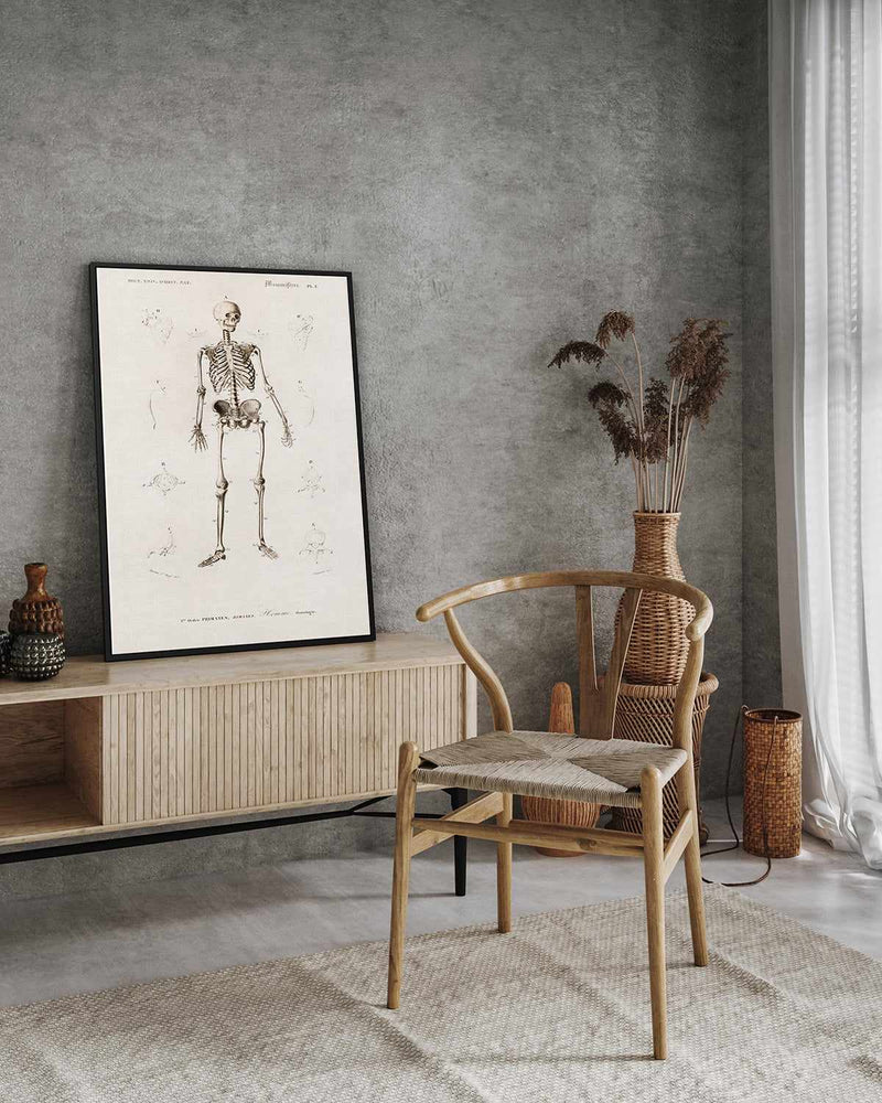 Skeleton Vintage Illustration | Framed Canvas Art Print