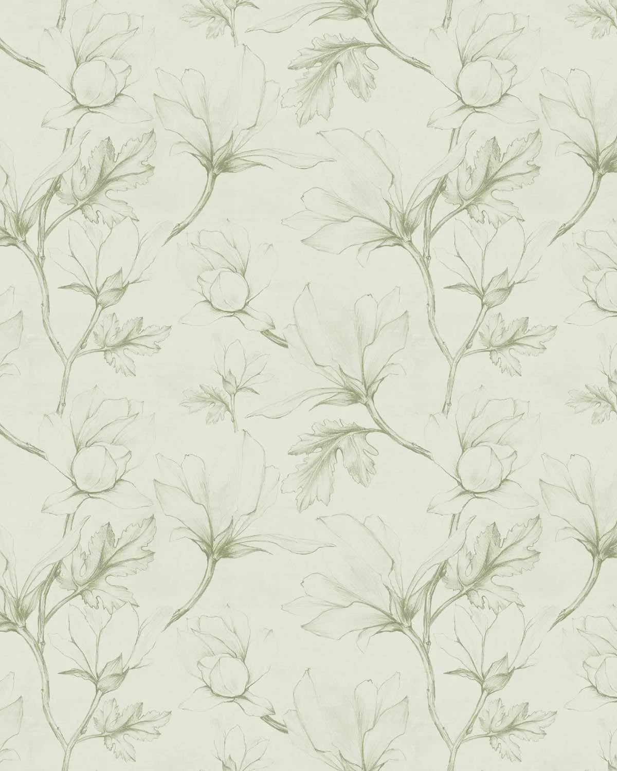 Sketched Magnolias Sage Green Wallpaper-Wallpaper-Buy Australian Removable Wallpaper Now Sage Green Wallpaper Peel And Stick Wallpaper Online At Olive et Oriel Custom Made Wallpapers Wall Papers Decorate Your Bedroom Living Room Kids Room or Commercial Interior