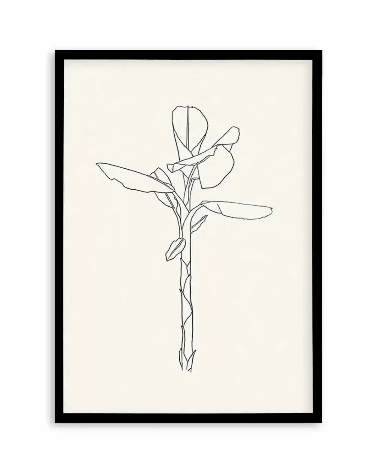Sketched Palm II Art Print from Olive et Oriel where you can shop wallpaper and artworks online