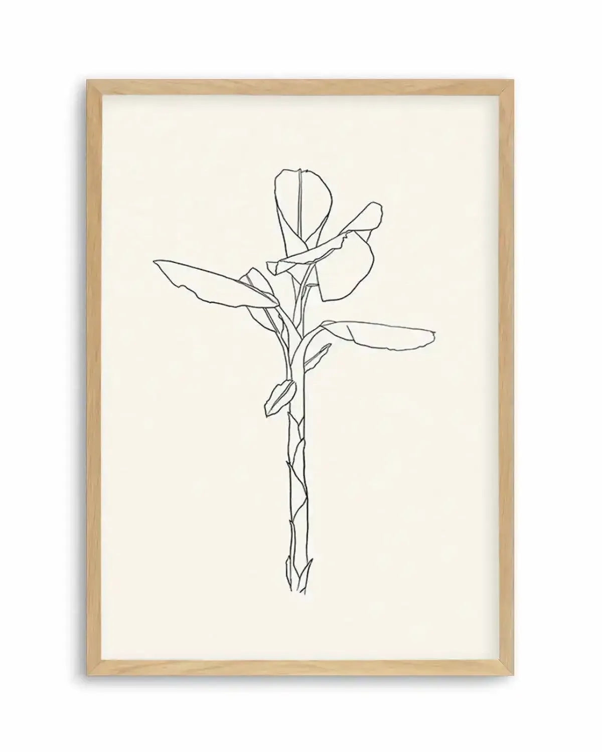 Sketched Palm II Art Print from Olive et Oriel where you can shop wallpaper and artworks online