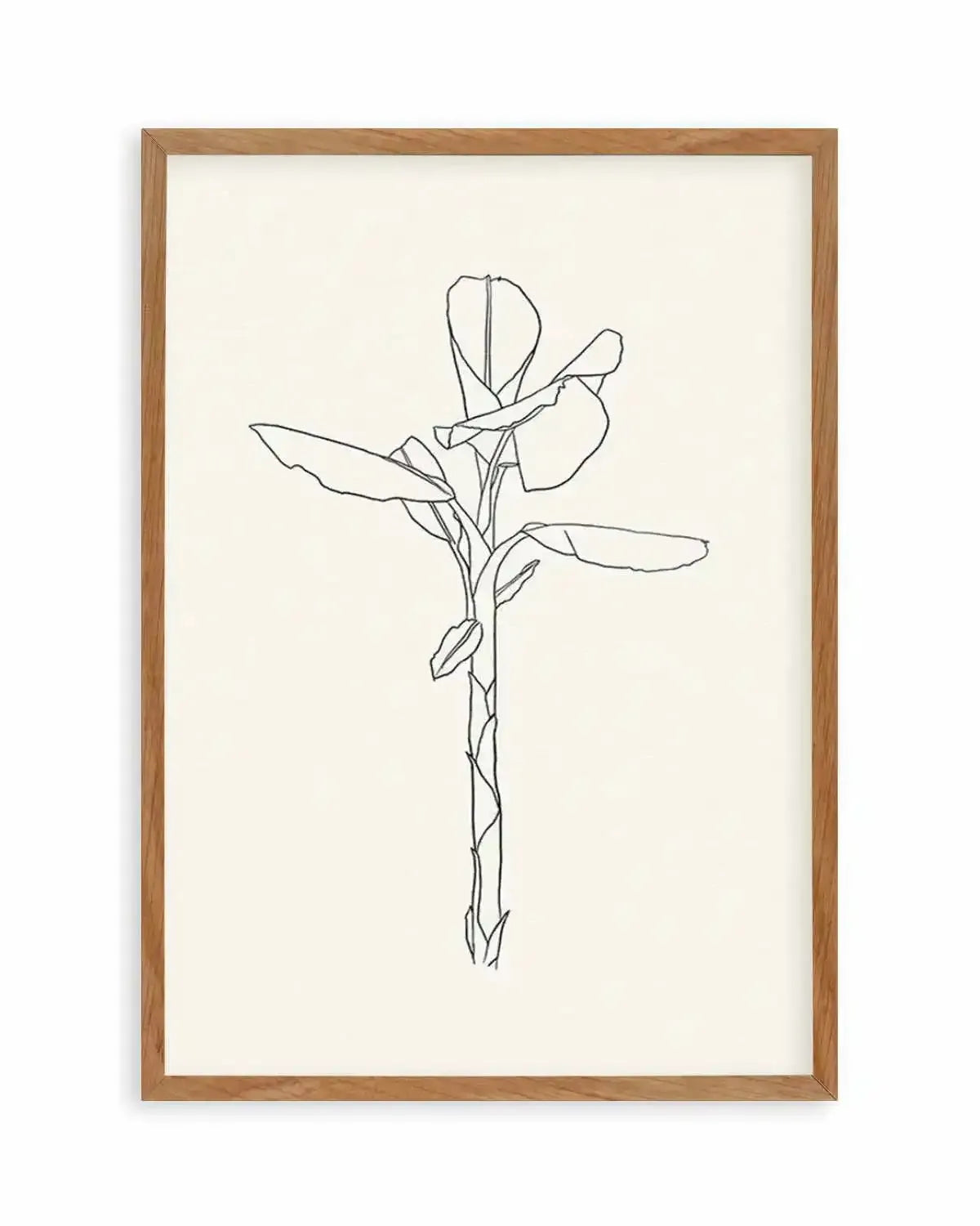 Sketched Palm II Art Print from Olive et Oriel where you can shop wallpaper and artworks online