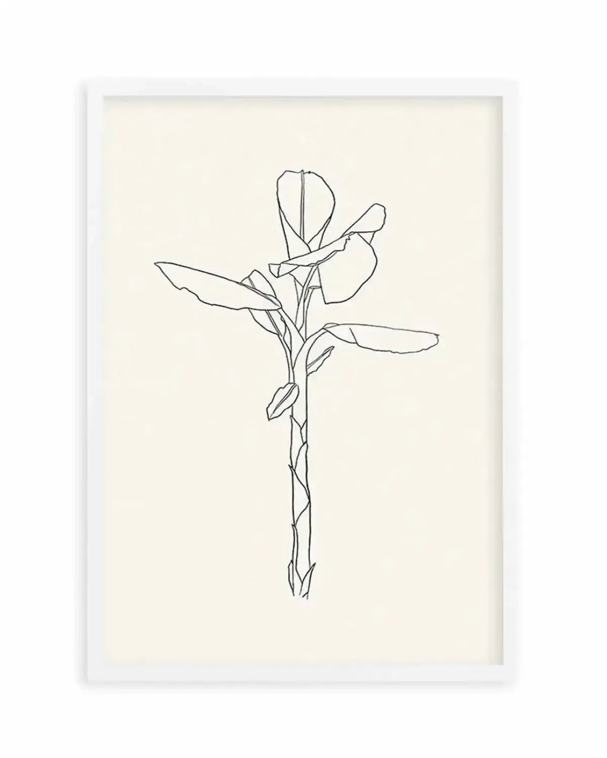 Sketched Palm II Art Print from Olive et Oriel where you can shop wallpaper and artworks online