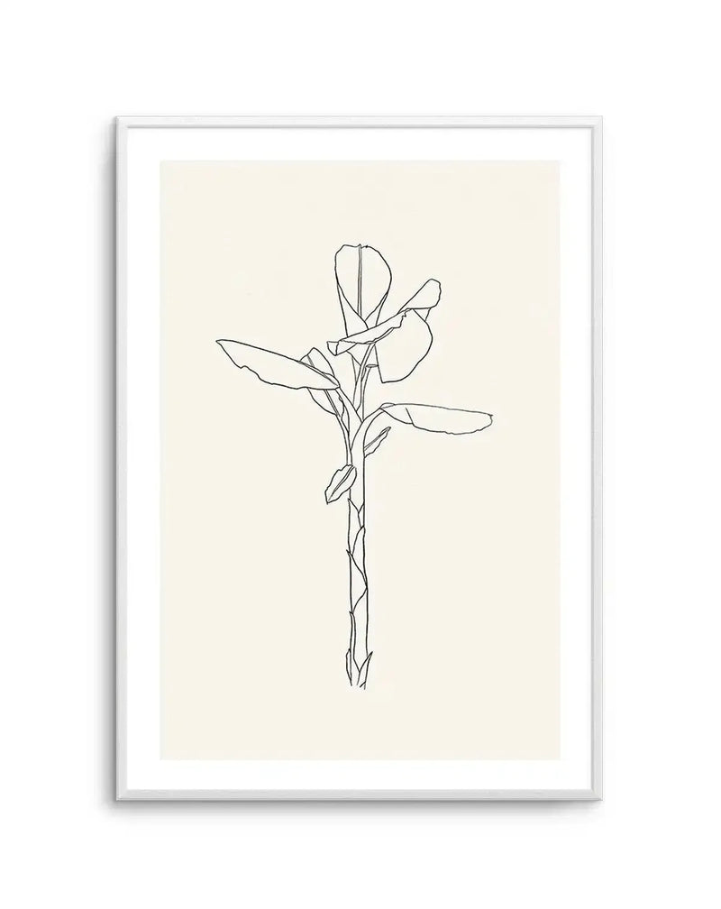 Sketched art print featuring a minimalist line drawing of a plant with large, rounded leaves and a textured stem, in black ink on a warm cream background, displayed in a white frame with white border.