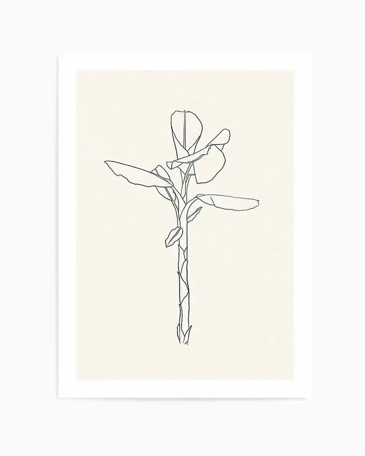 Sketched Palm II Art Print from Olive et Oriel where you can shop wallpaper and artworks online