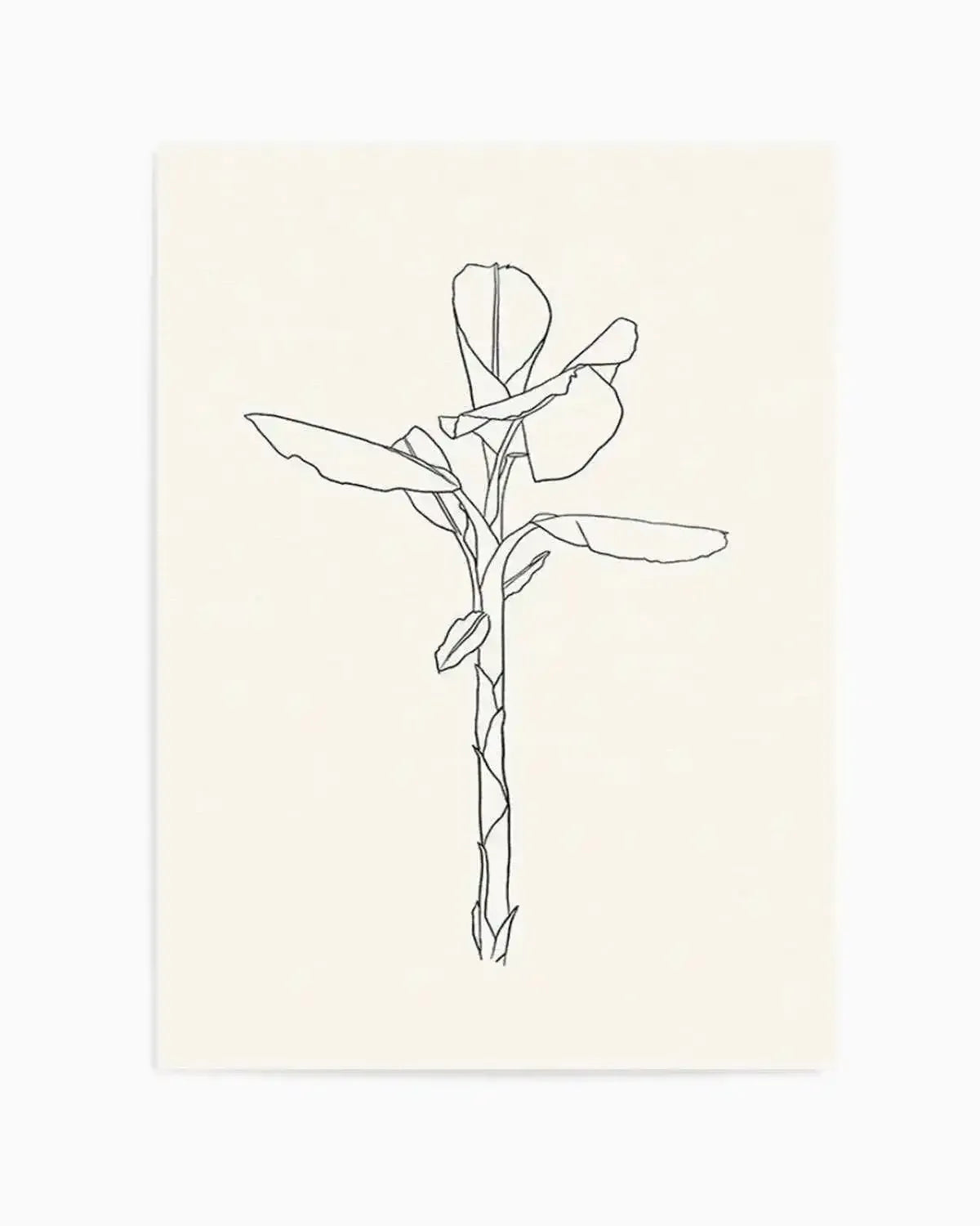 Sketched Palm II Art Print from Olive et Oriel where you can shop wallpaper and artworks online