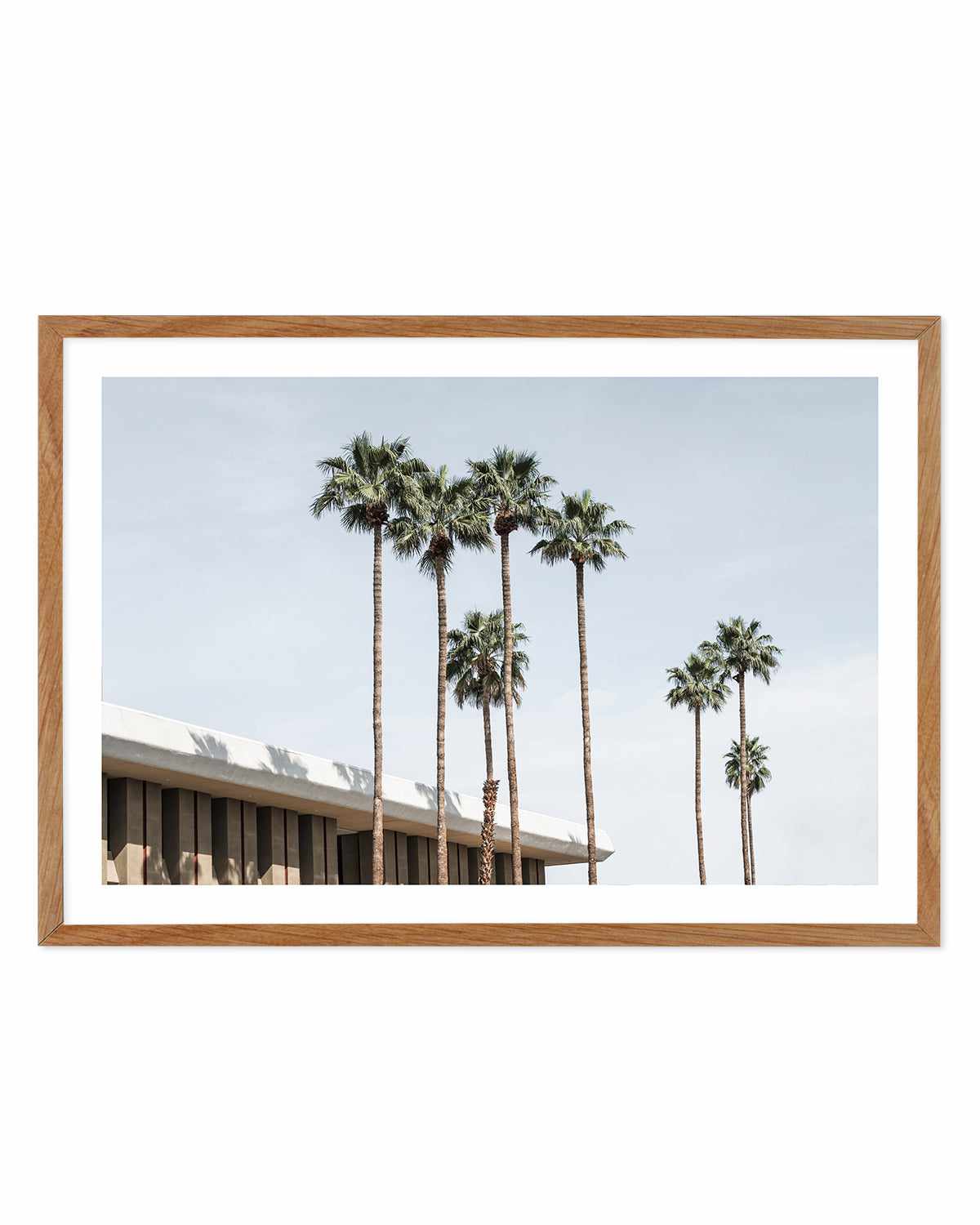 Skies the Limit Palm Springs Art Print