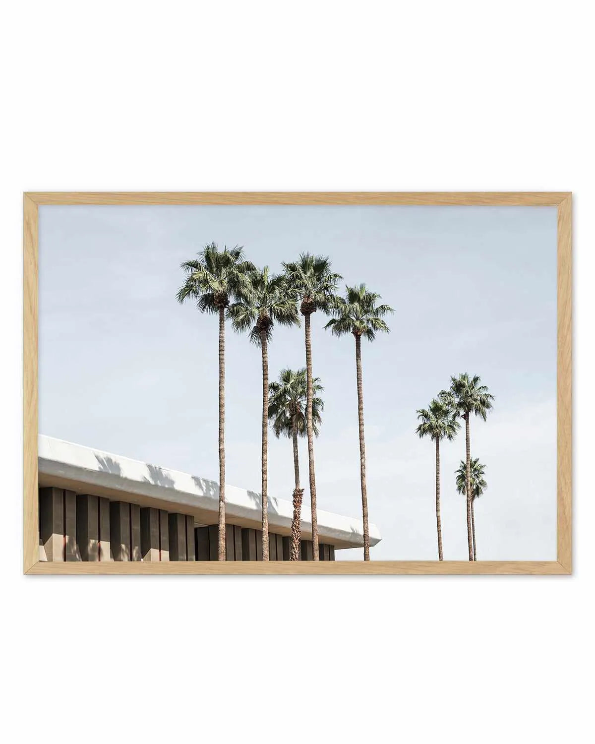 Skies the Limit Palm Springs Art Print from Olive et Oriel where you can shop wallpaper and artworks online