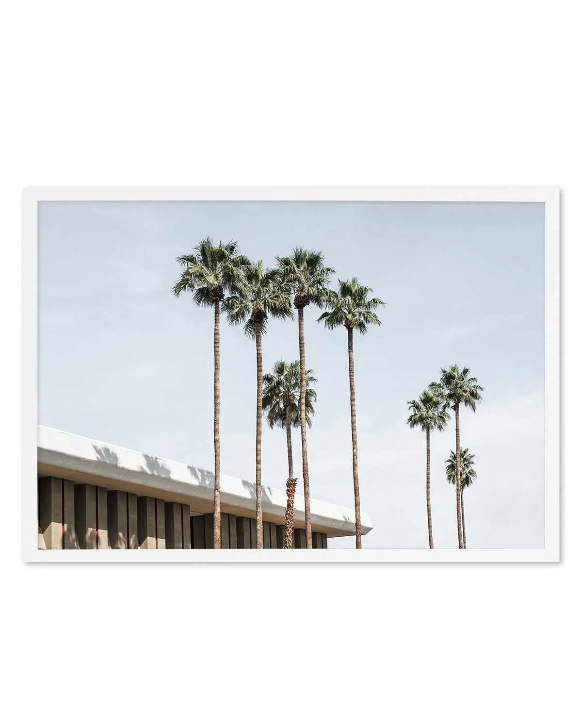 Skies the Limit Palm Springs Art Print from Olive et Oriel where you can shop wallpaper and artworks online