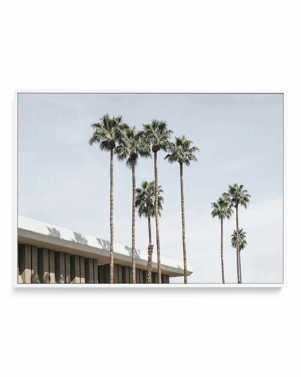 Skies the Limit Palm Springs | Framed Canvas Art Print from Olive et Oriel where you can shop wallpaper and artworks online