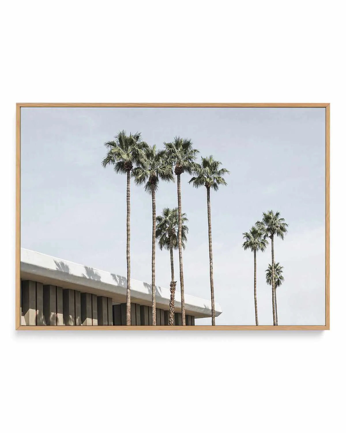 Skies the Limit Palm Springs | Framed Canvas Art Print from Olive et Oriel where you can shop wallpaper and artworks online