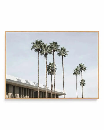 Skies the Limit Palm Springs | Framed Canvas Art Print from Olive et Oriel where you can shop wallpaper and artworks online