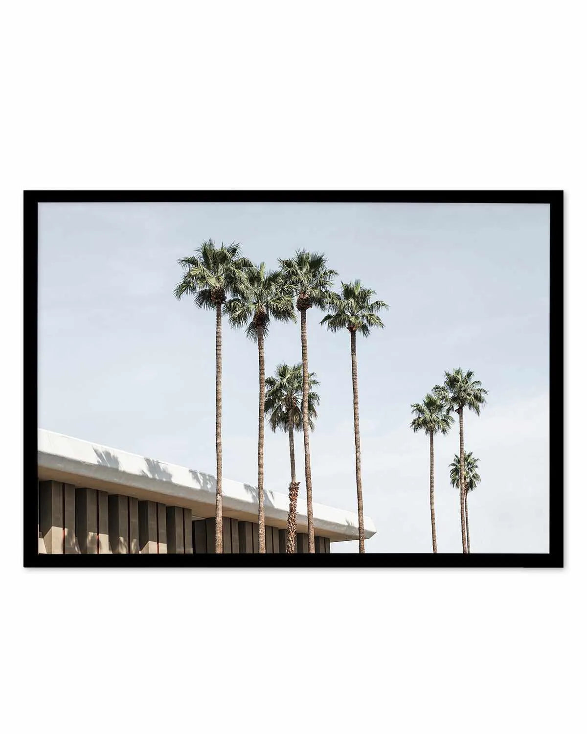 Skies the Limit Palm Springs Art Print from Olive et Oriel where you can shop wallpaper and artworks online