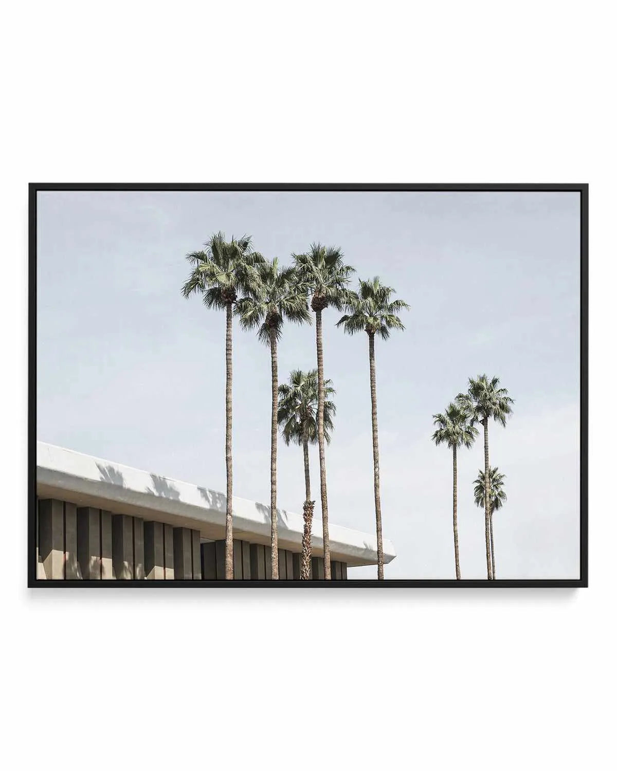 Skies the Limit Palm Springs | Framed Canvas Art Print from Olive et Oriel where you can shop wallpaper and artworks online