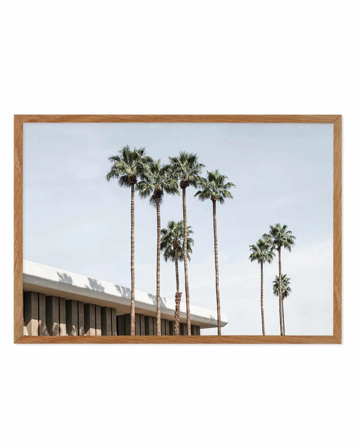 Skies the Limit Palm Springs Art Print from Olive et Oriel where you can shop wallpaper and artworks online
