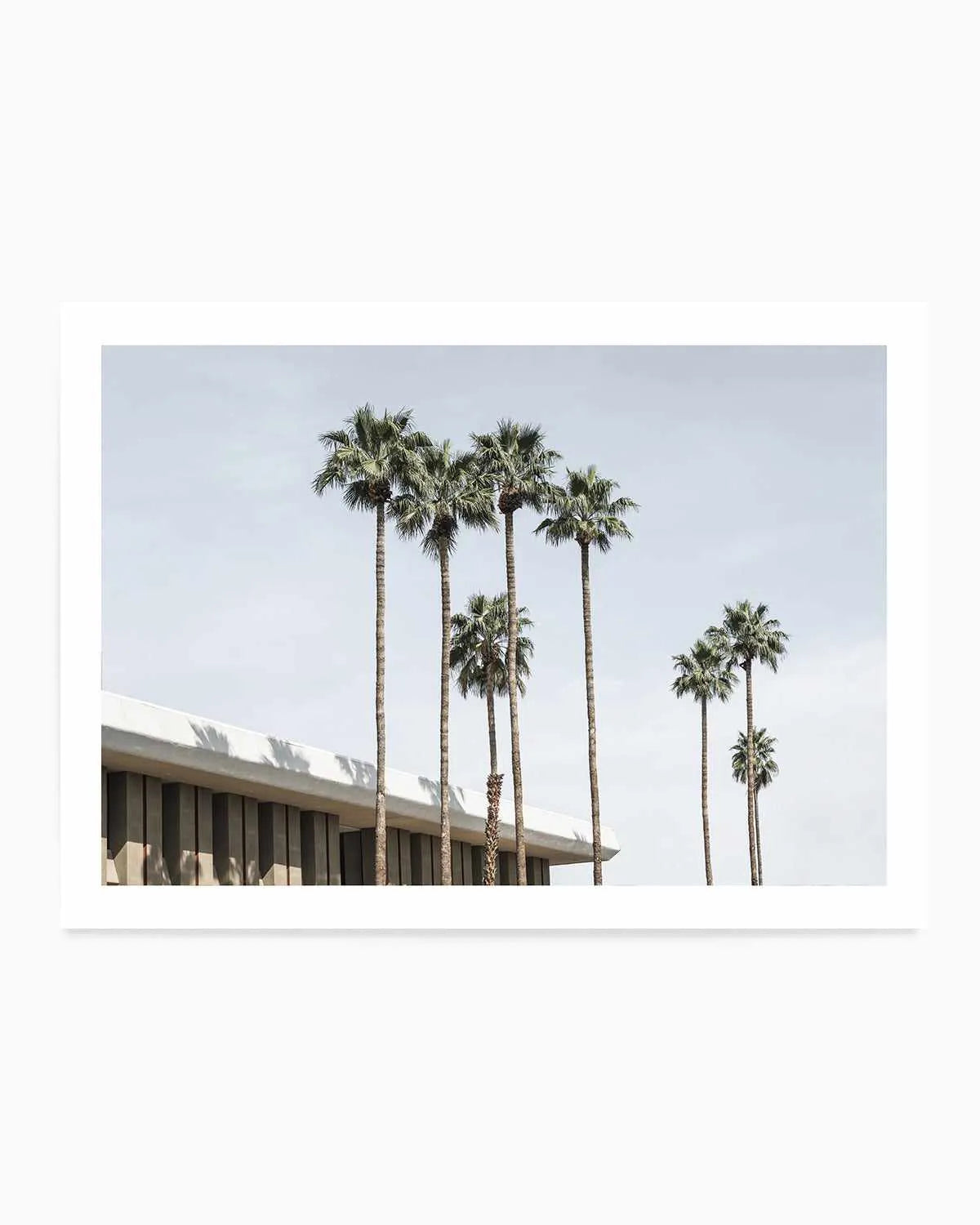 Skies the Limit Palm Springs Art Print from Olive et Oriel where you can shop wallpaper and artworks online