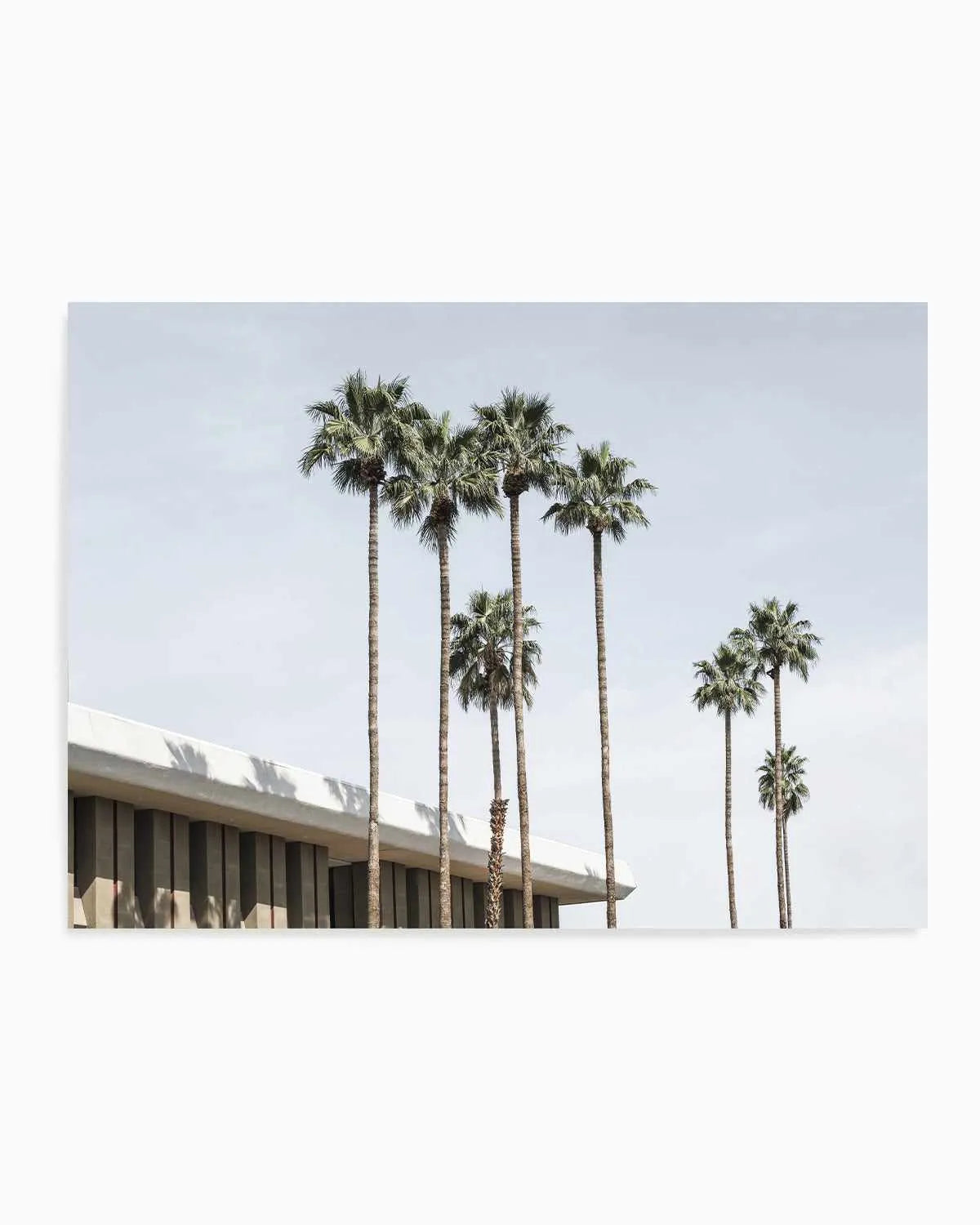 Skies the Limit Palm Springs Art Print from Olive et Oriel where you can shop wallpaper and artworks online