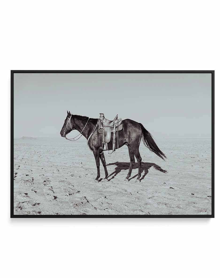 Solo Stang II by Rylee Olsen | Framed Canvas Art Print from Olive et Oriel where you can shop wallpaper and artworks online