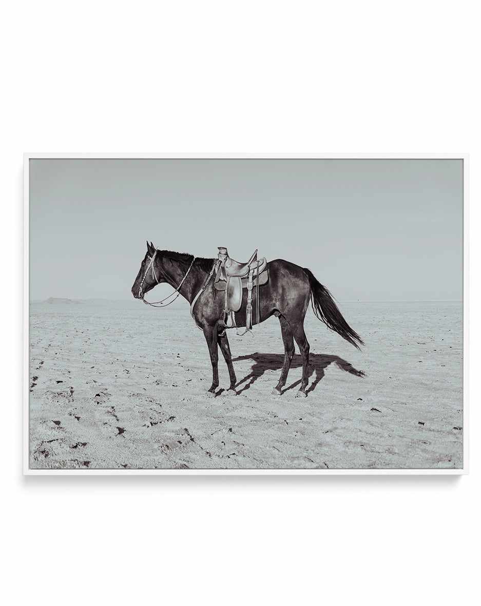 Solo Stang II by Rylee Olsen | Framed Canvas Art Print from Olive et Oriel where you can shop wallpaper and artworks online