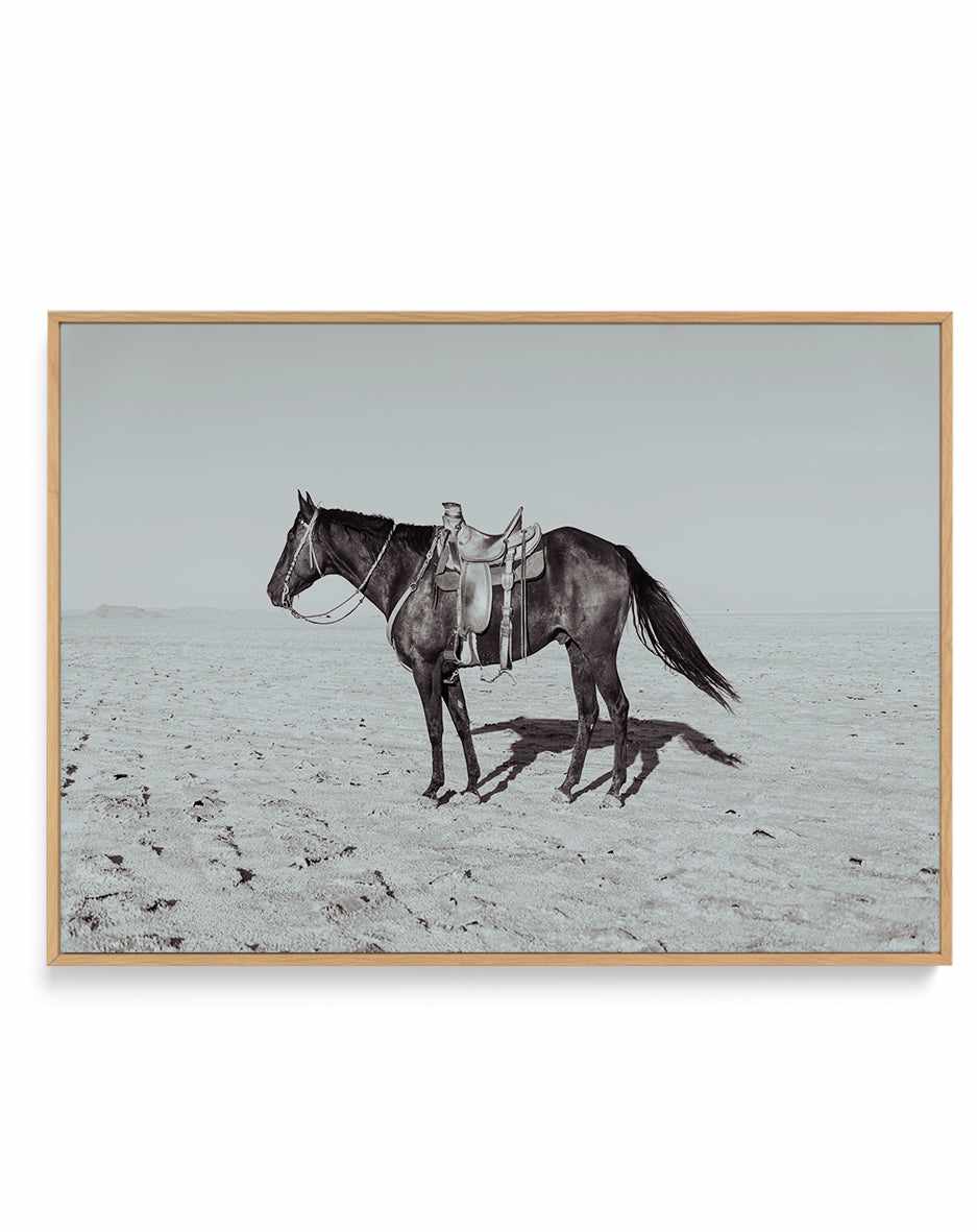 Solo Stang II by Rylee Olsen | Framed Canvas Art Print from Olive et Oriel where you can shop wallpaper and artworks online