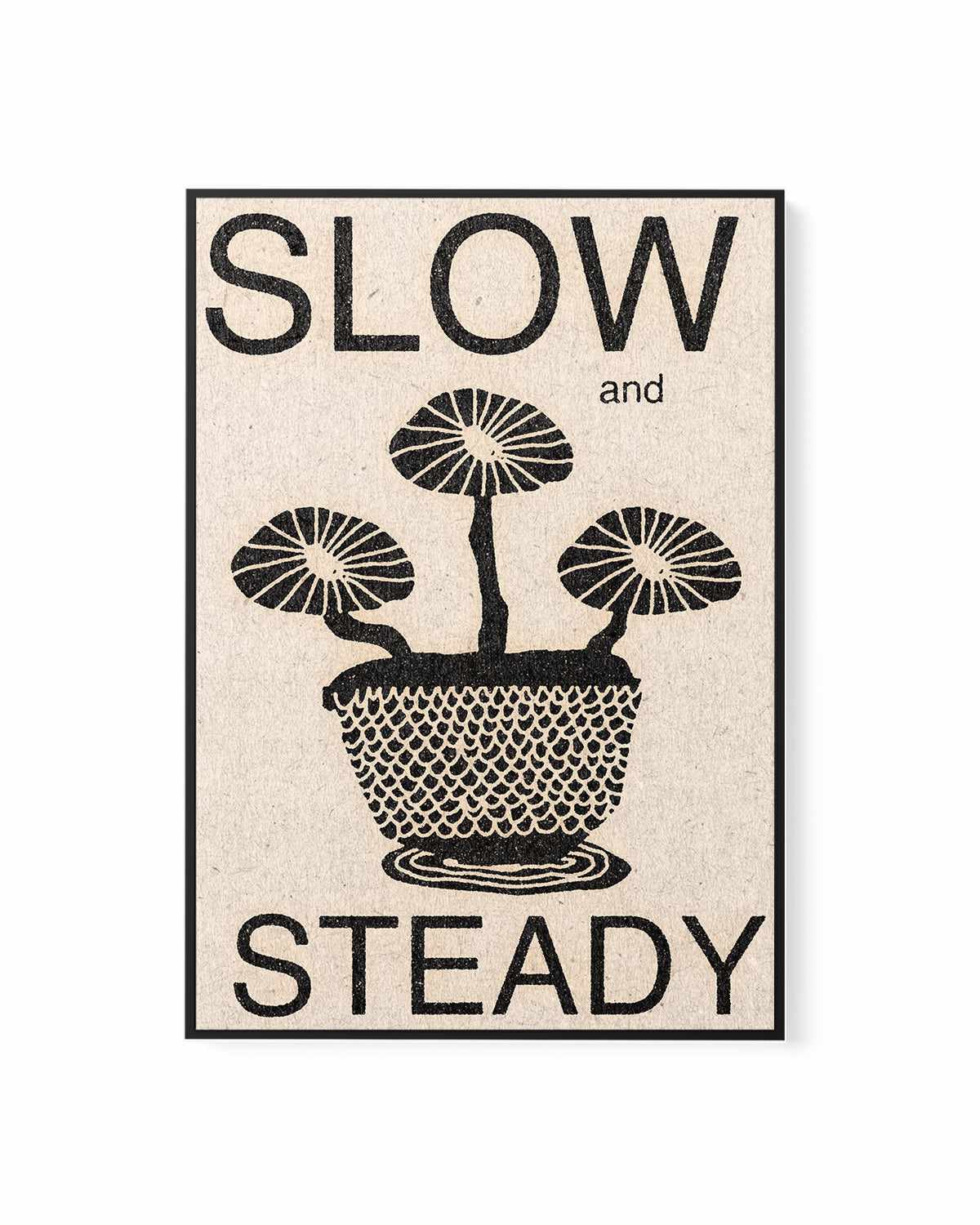 Slow and Steady by David Schmitt | Framed Canvas Art Print