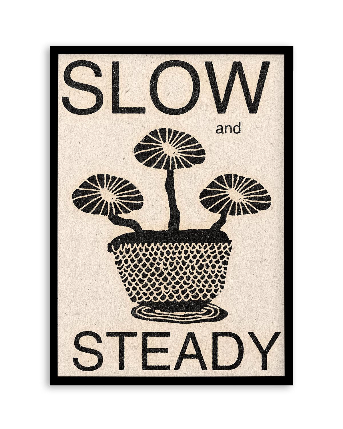 Slow and Steady by David Schmitt Art Print