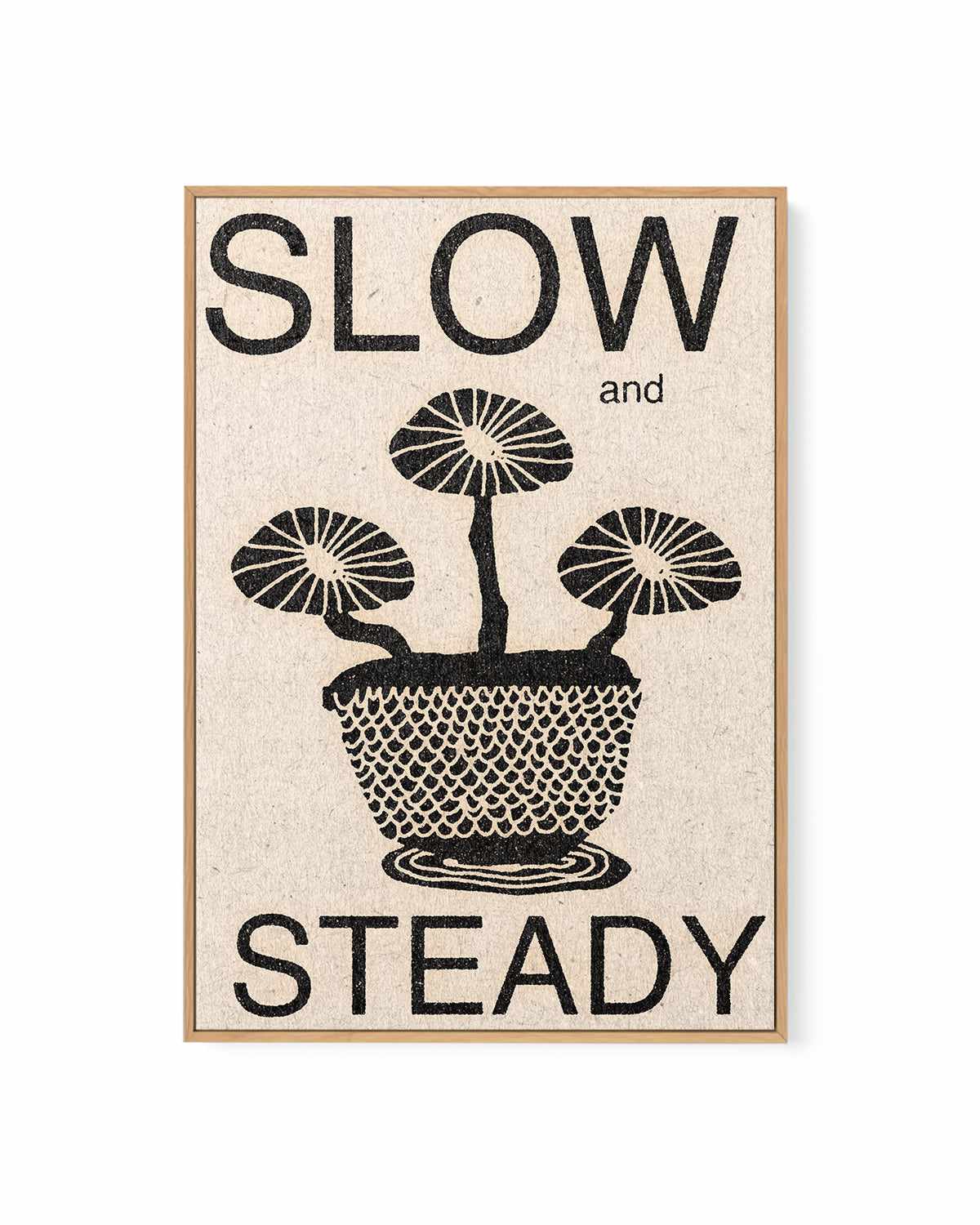 Slow and Steady by David Schmitt | Framed Canvas Art Print