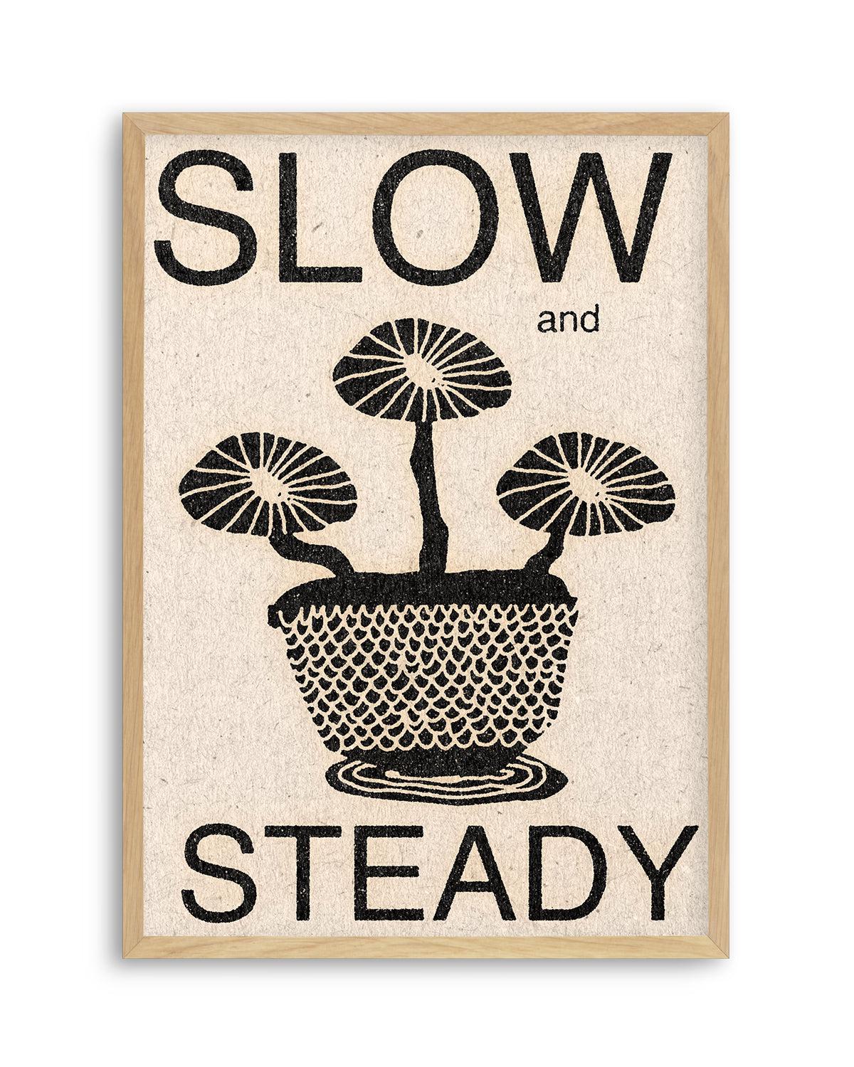 Slow and Steady by David Schmitt Art Print