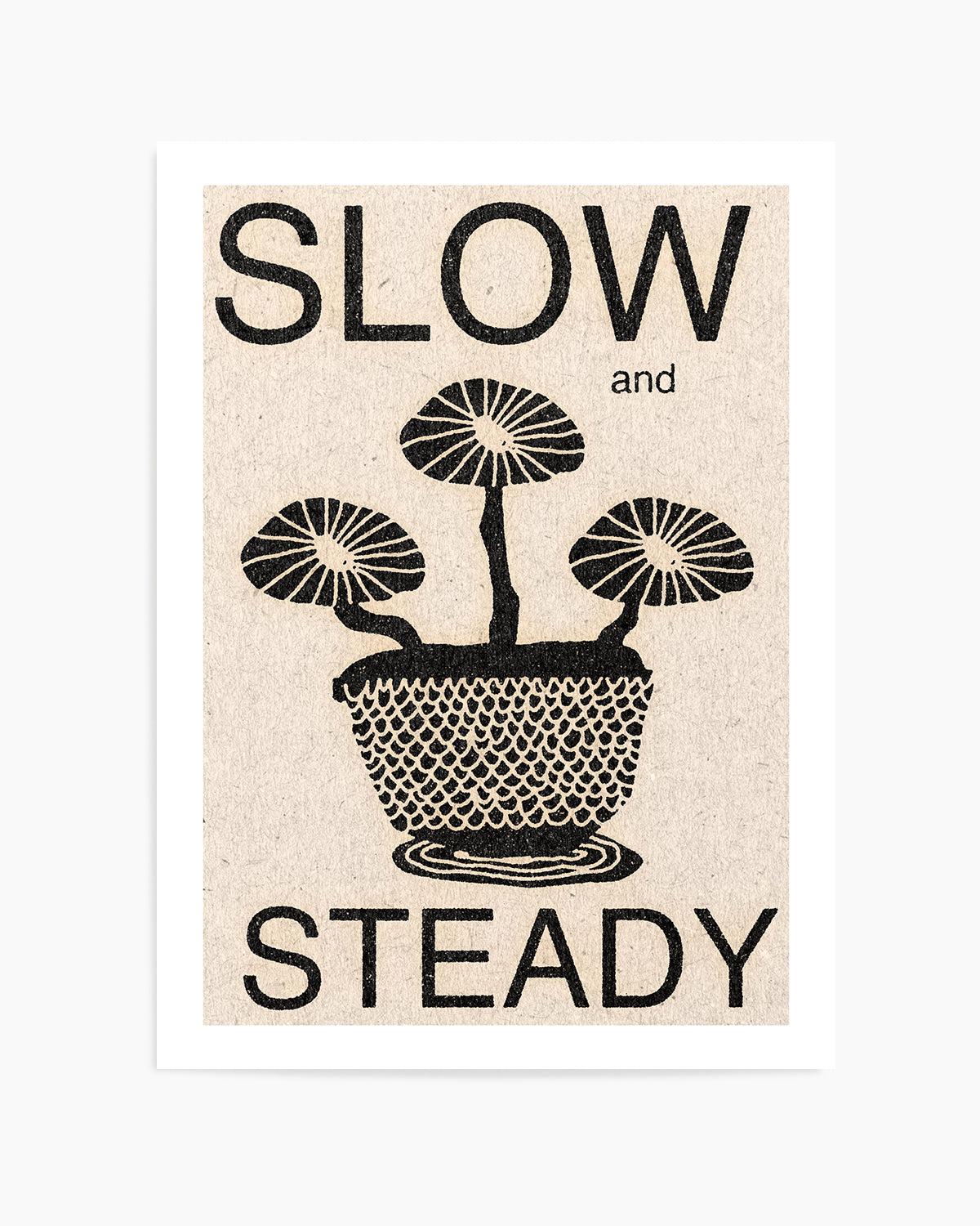 Slow and Steady by David Schmitt Art Print