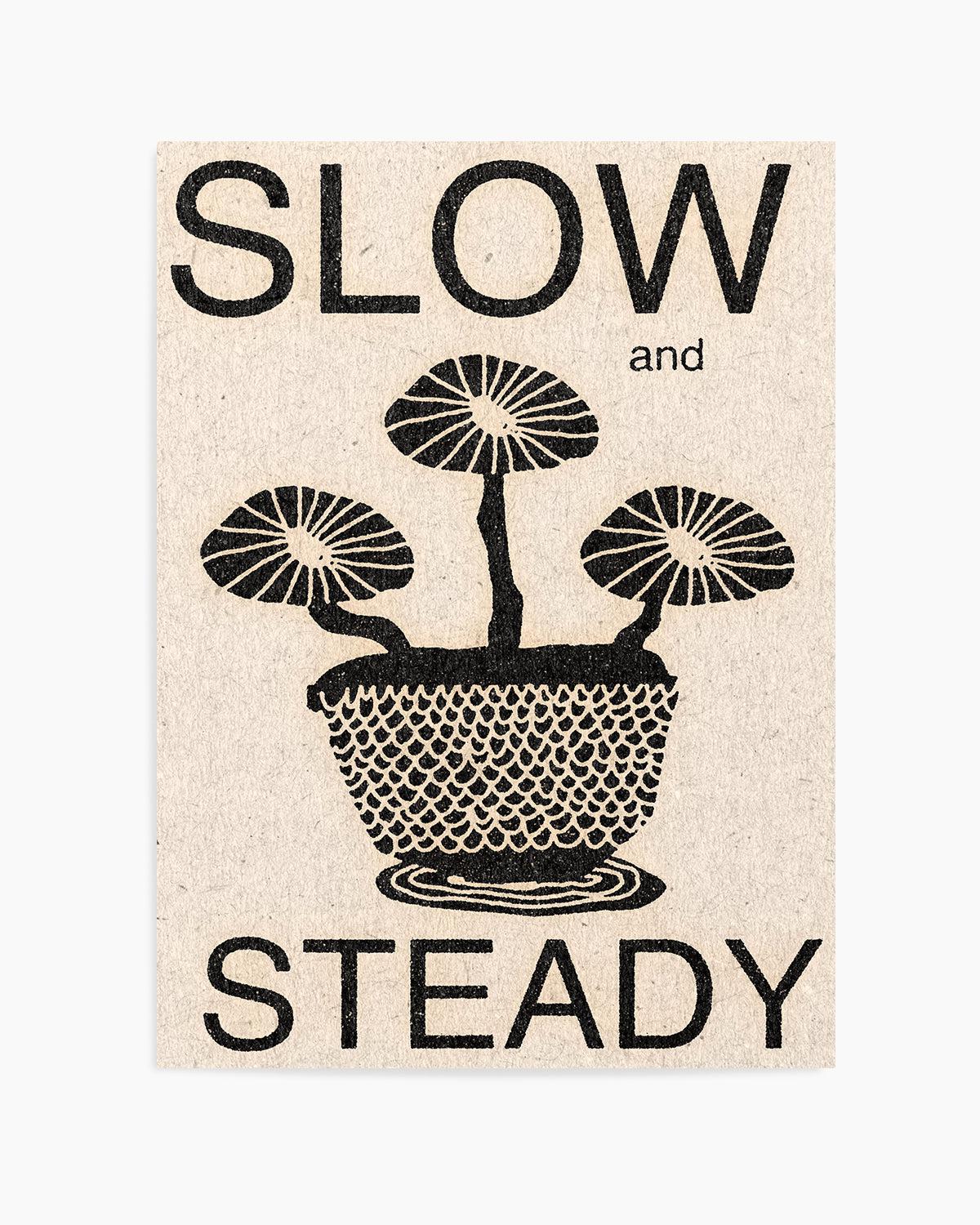 Slow and Steady by David Schmitt Art Print