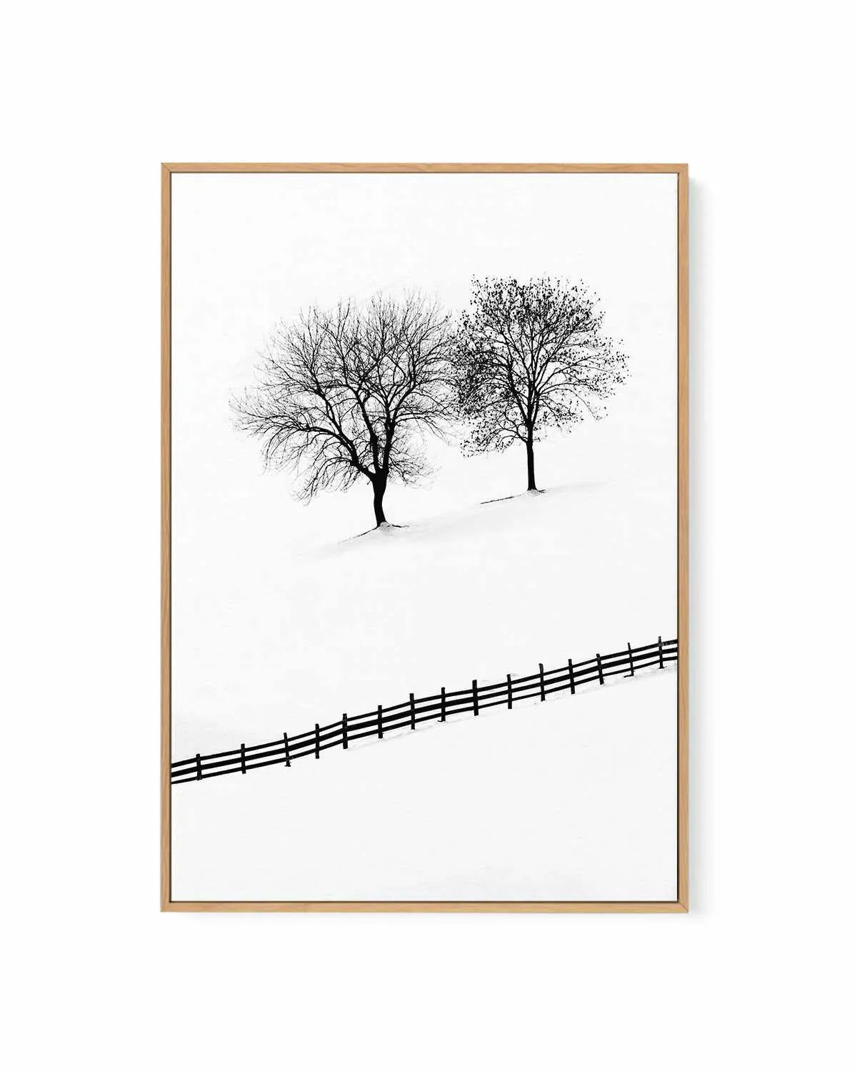 Snow Trees by Mario Stefanelli | Framed Canvas Art Print from Olive et Oriel where you can shop wallpaper and artworks online