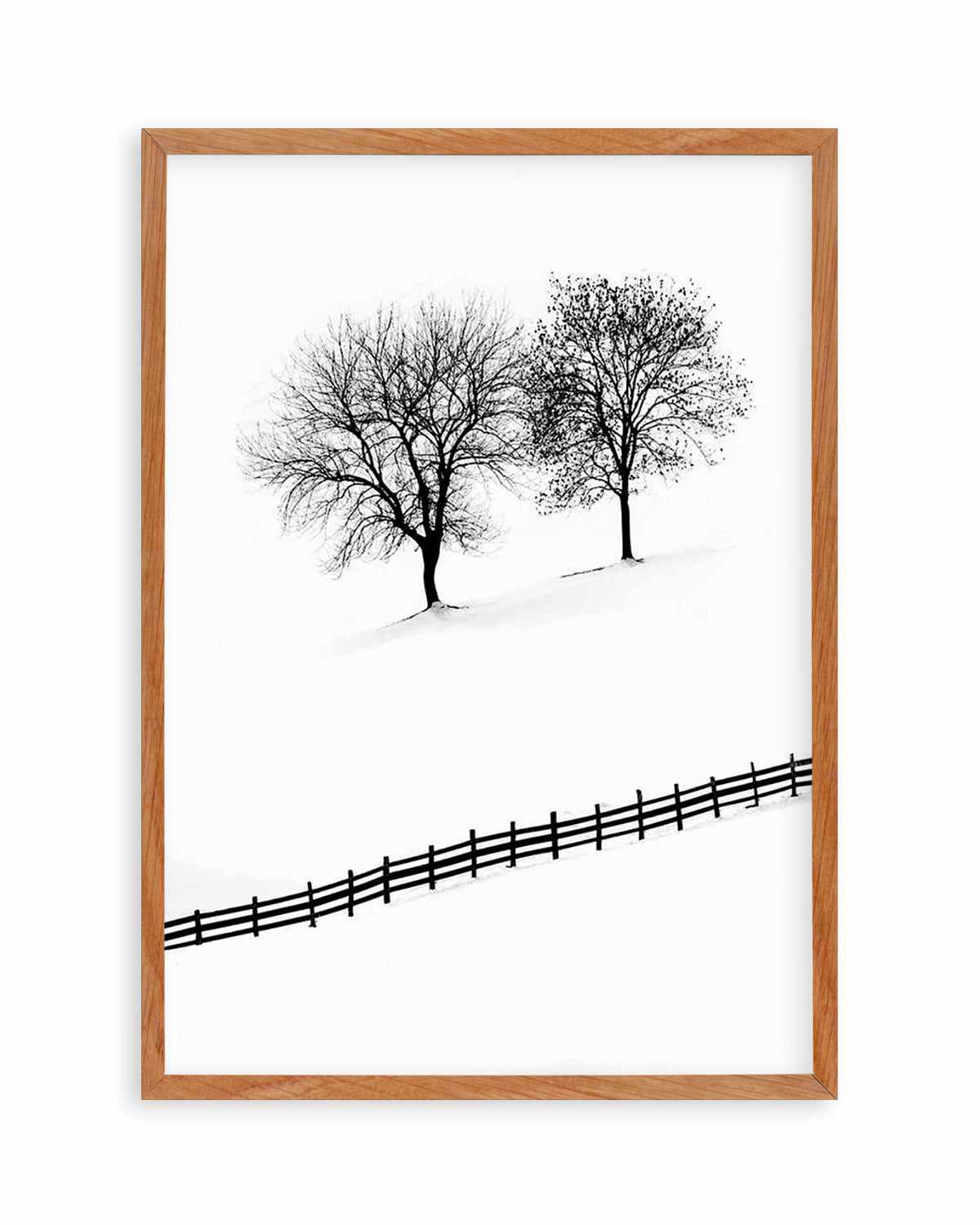 Snow Trees by Mario Stefanelli Art Print