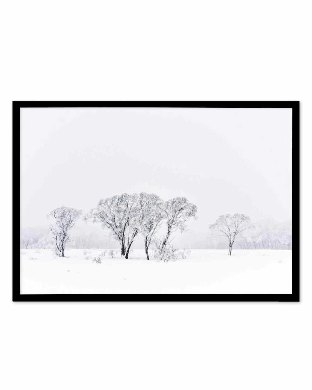 Snowy Gumtrees, Kosciuszko Art Print