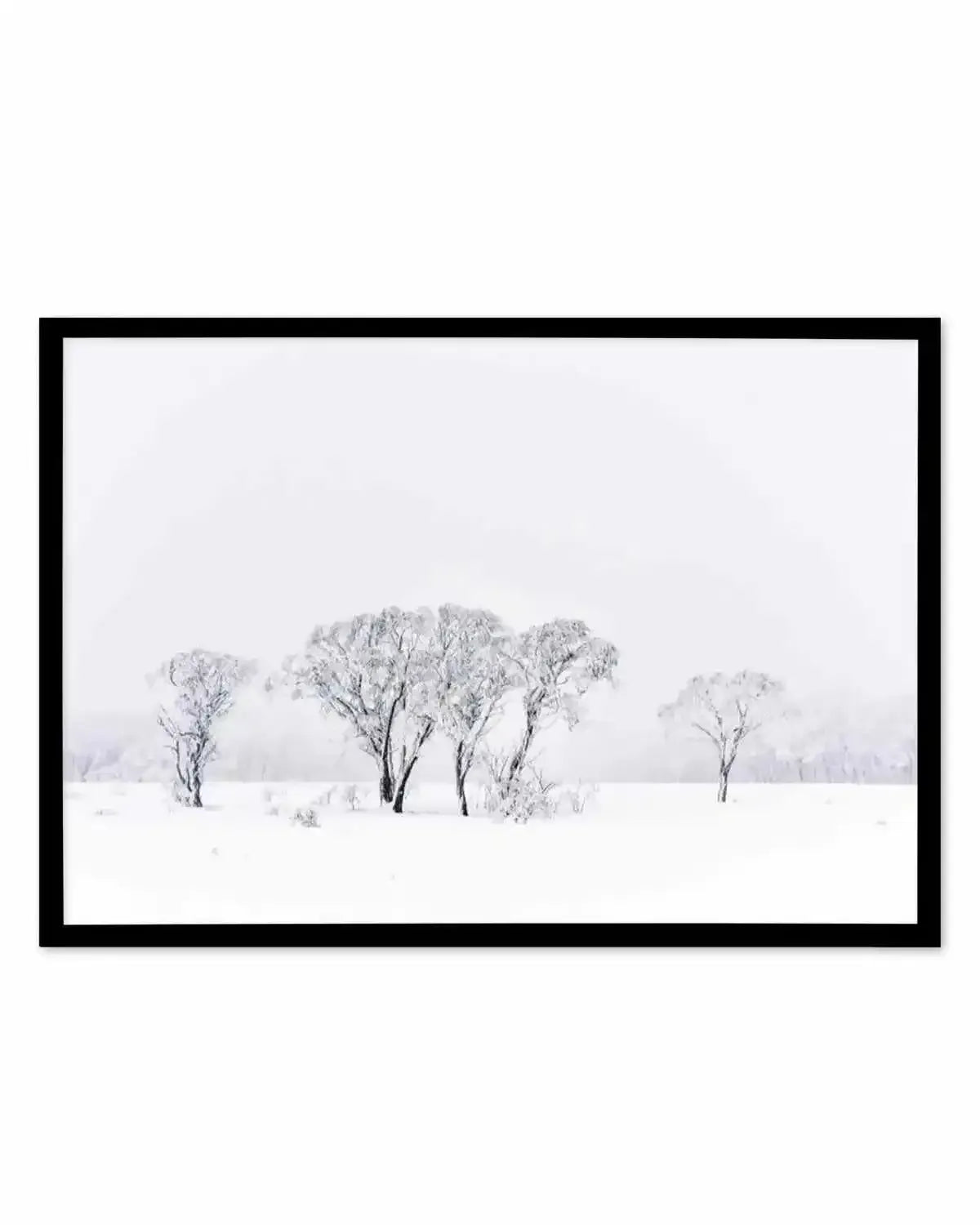 Snowy Gumtrees, Kosciuszko Art Print from Olive et Oriel where you can shop wallpaper and artworks online