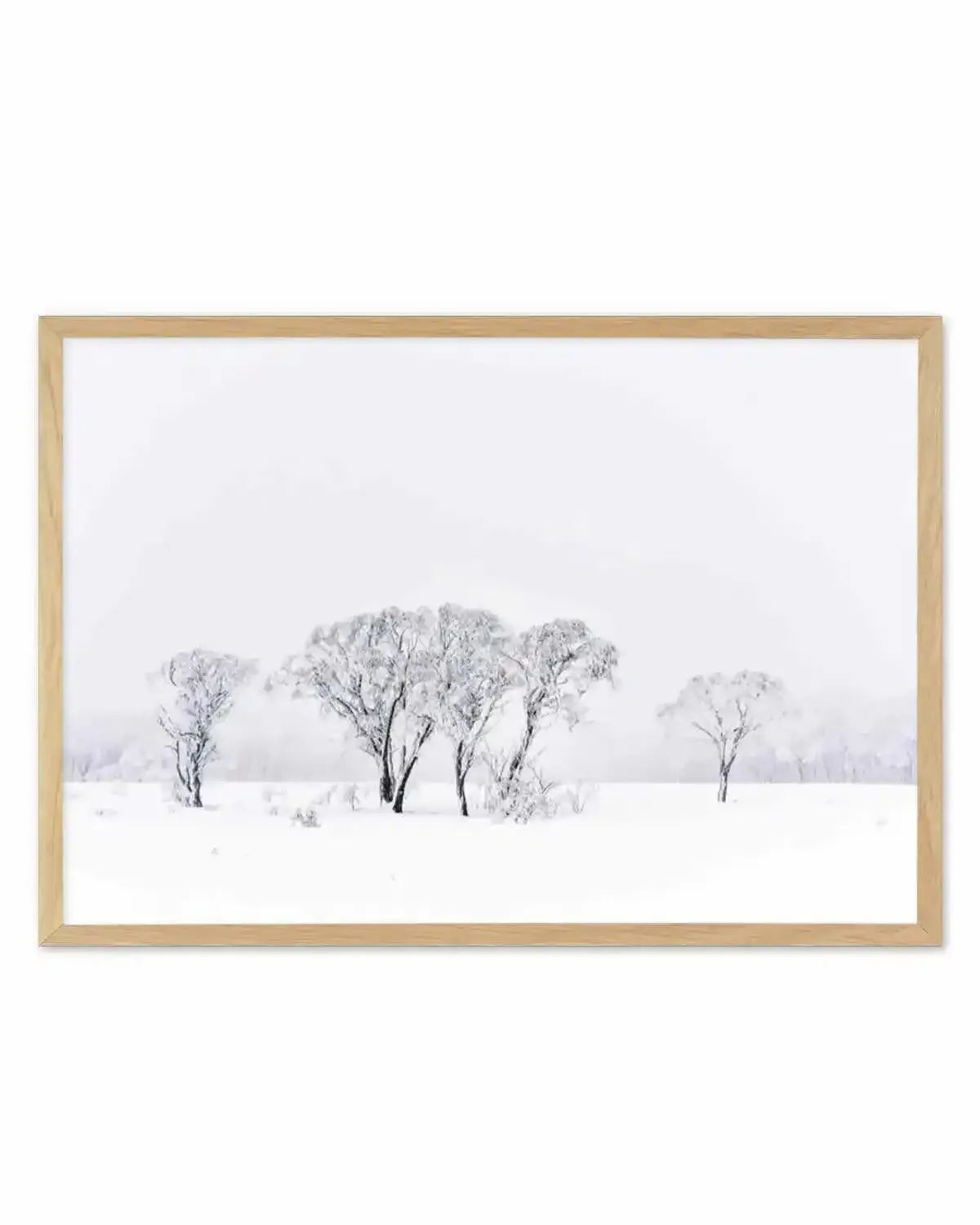 Snowy Gumtrees, Kosciuszko Art Print from Olive et Oriel where you can shop wallpaper and artworks online