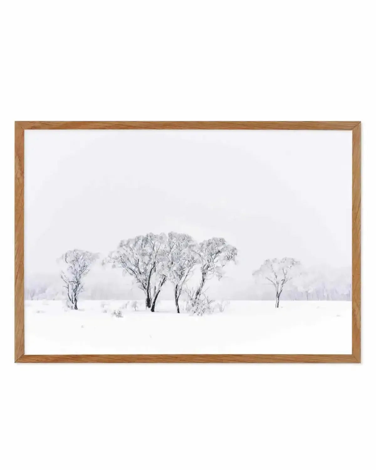 Snowy Gumtrees, Kosciuszko Art Print from Olive et Oriel where you can shop wallpaper and artworks online