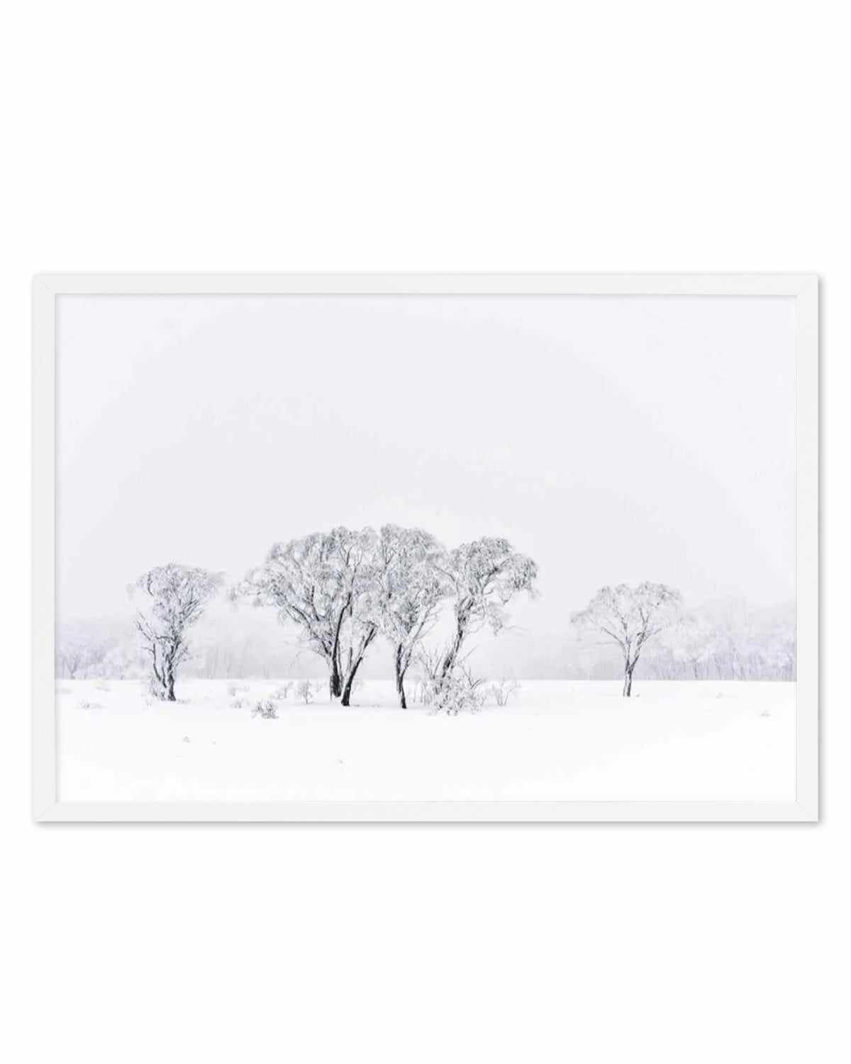 Snowy Gumtrees, Kosciuszko Art Print