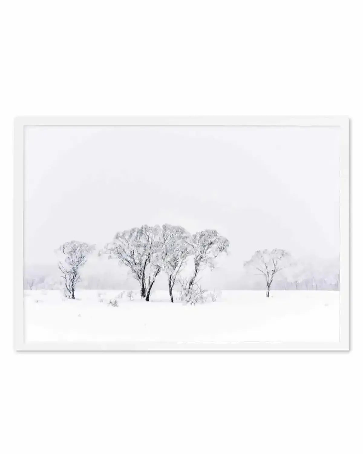 Snowy Gumtrees, Kosciuszko Art Print from Olive et Oriel where you can shop wallpaper and artworks online