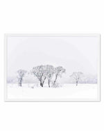 Snowy Gumtrees, Kosciuszko Art Print