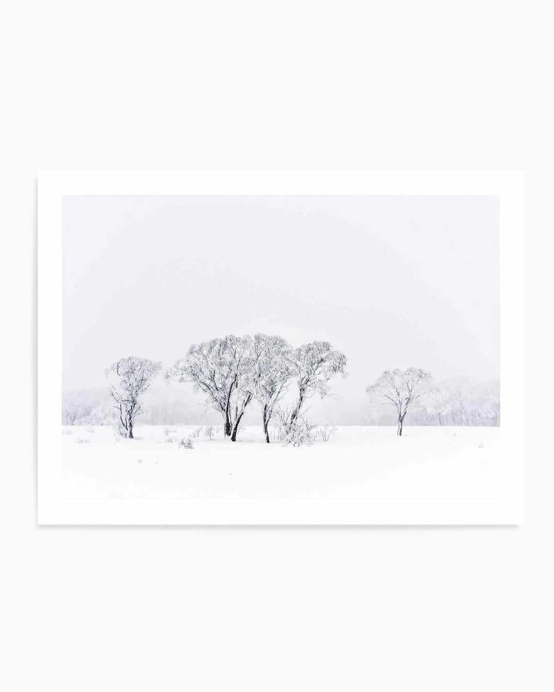 Snowy Gumtrees, Kosciuszko Art Print