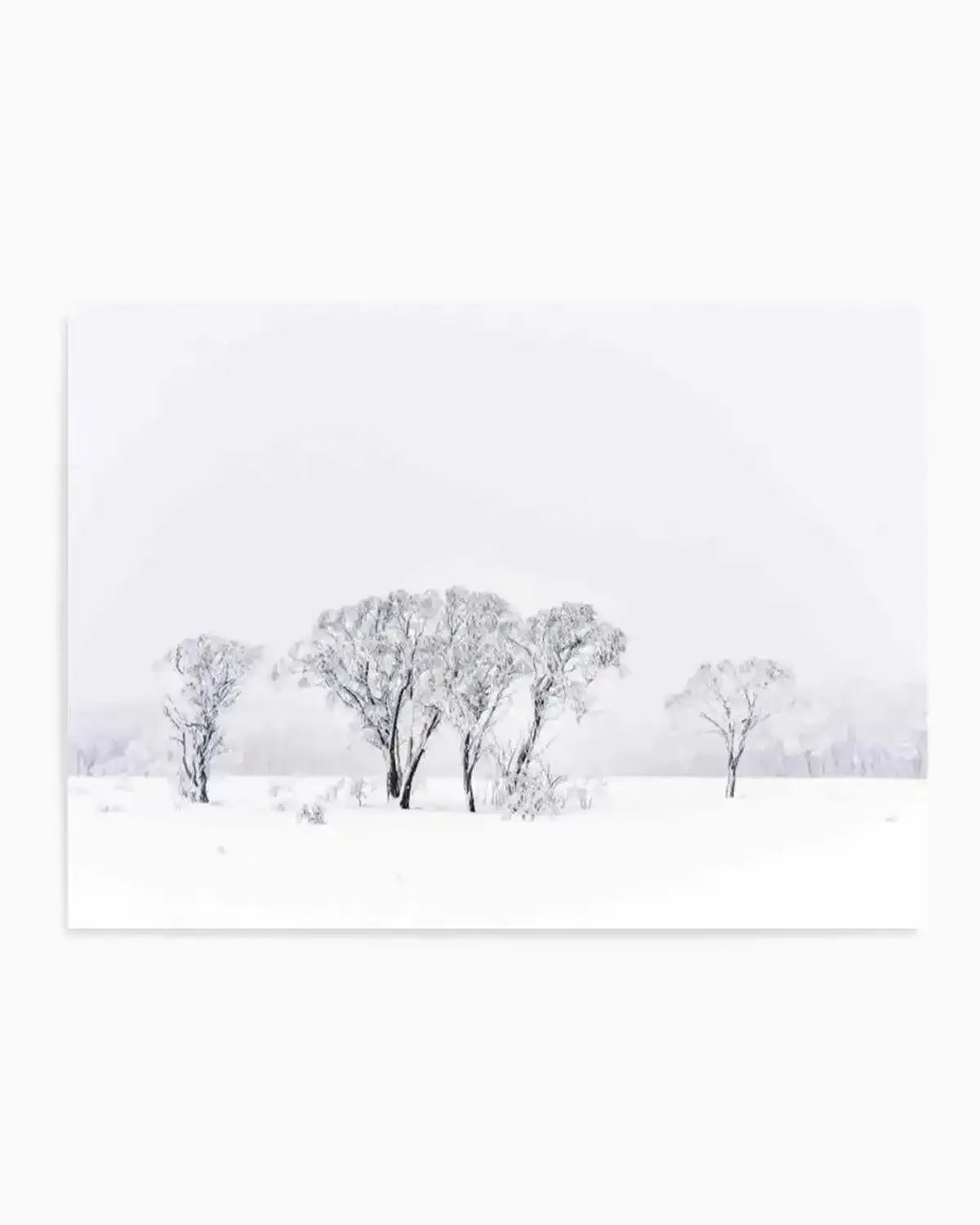 Snowy Gumtrees, Kosciuszko Art Print from Olive et Oriel where you can shop wallpaper and artworks online