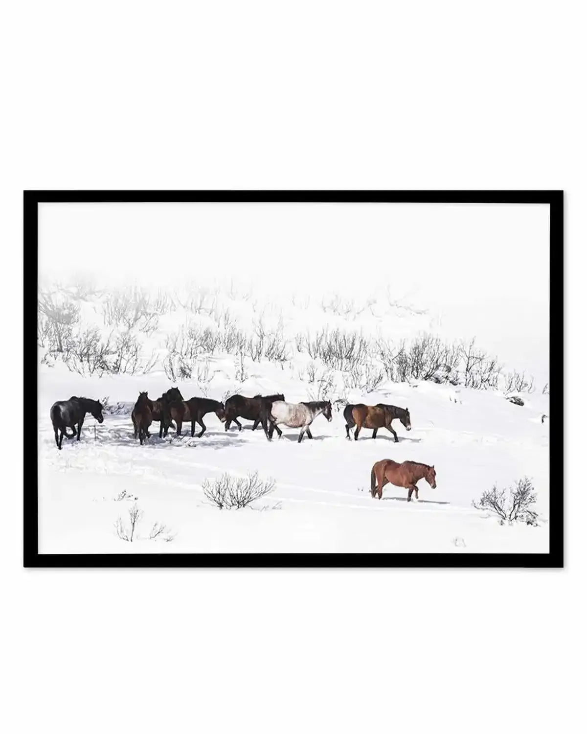 Snowy Mountains Brumbies I Art Print from Olive et Oriel where you can shop wallpaper and artworks online