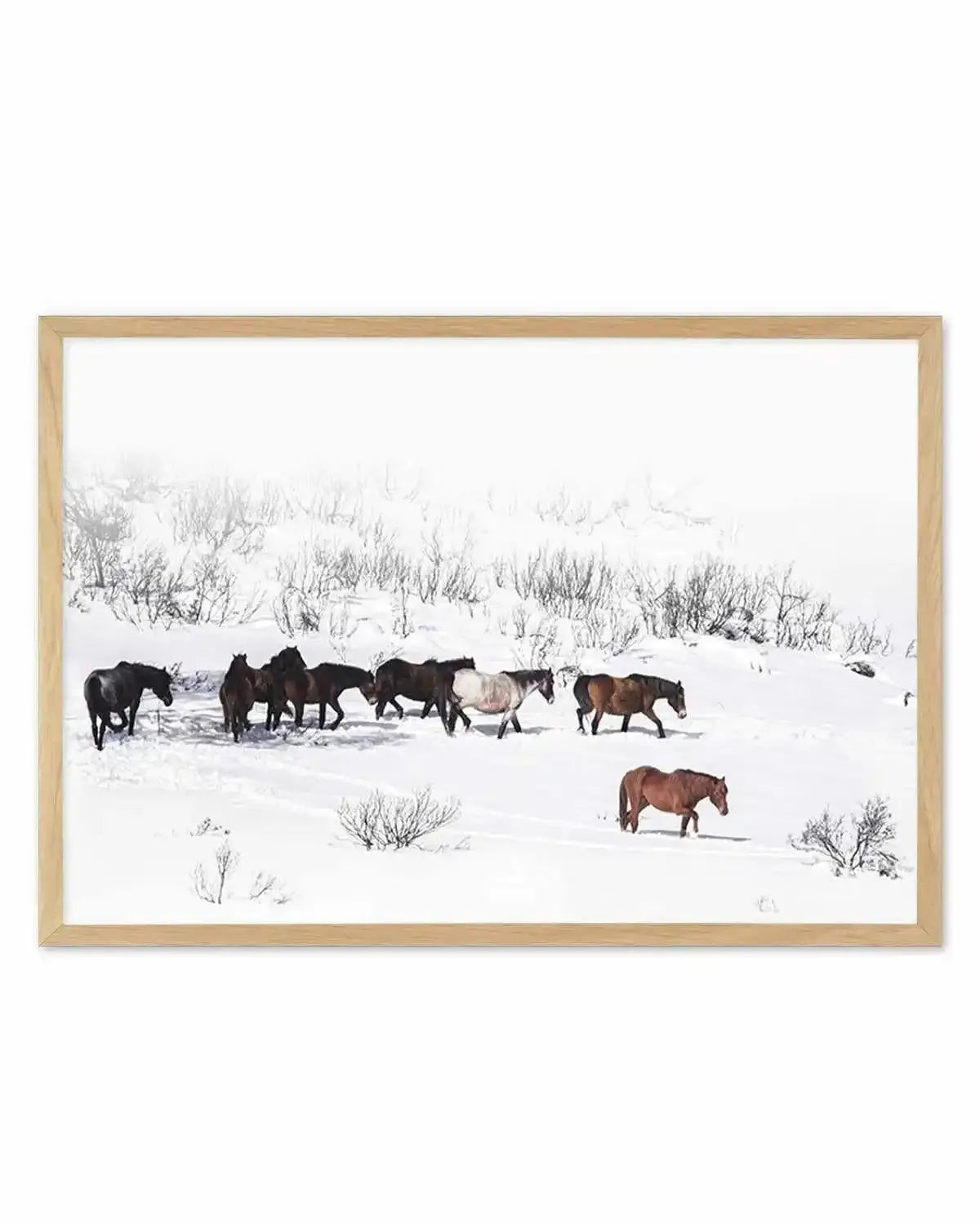 Snowy Mountains Brumbies I Art Print from Olive et Oriel where you can shop wallpaper and artworks online